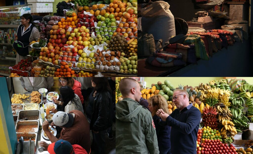 FRANCE E-QUITO Projets Internationaux